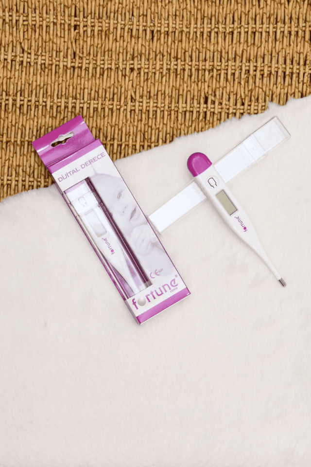 Dijital Ateş Ölçer